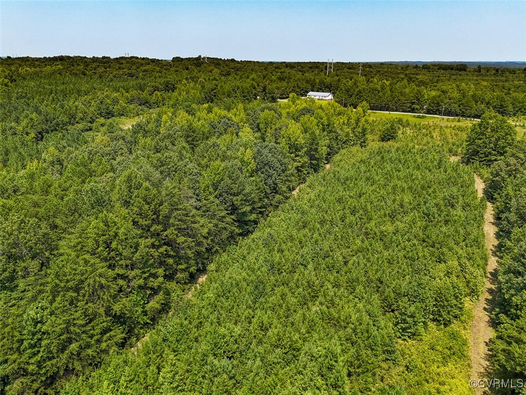 105.2-acres Cedar Bluff Road Boydton, VA 23917 - Photo 5 of 50 Gallery Image 5