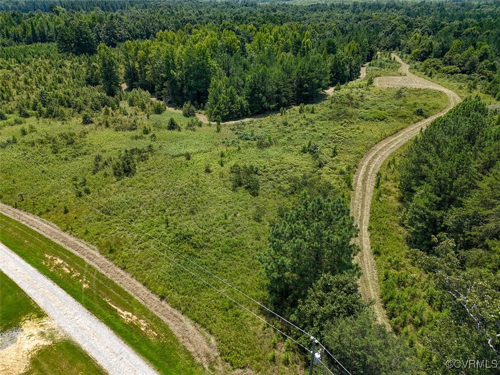 105.2-acres Cedar Bluff Road Boydton, VA 23917 - Photo 8 of 50 Gallery Image 8