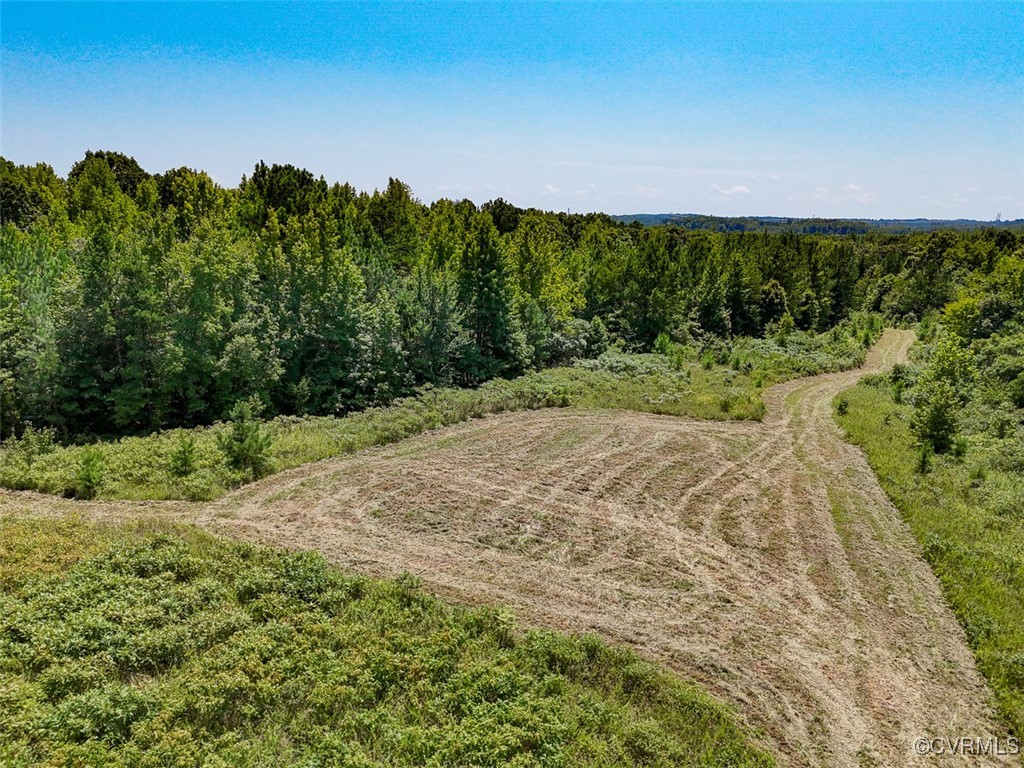 105.2-acres Cedar Bluff Road Boydton, VA 23917 - Photo 10 of 50 Gallery Image 10