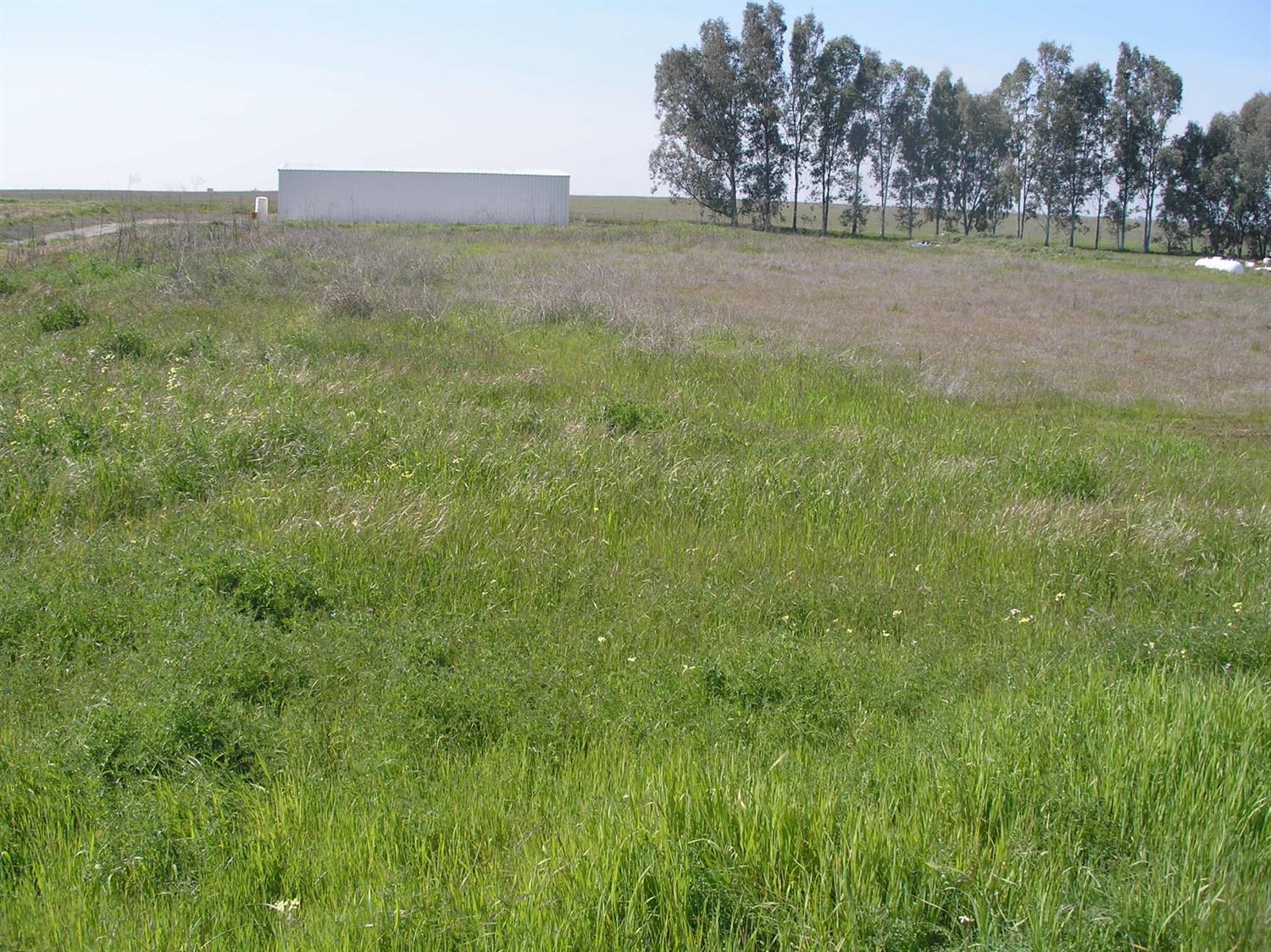 0 Skyview Road Madera, CA 93636 - Photo 2 of 3 Gallery Image 2