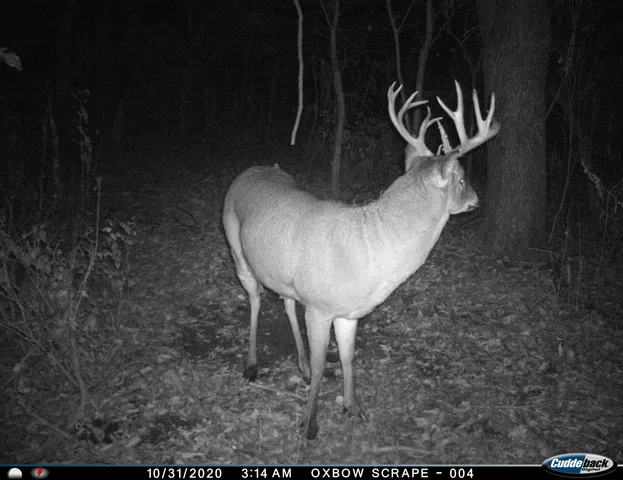 $799,000 | N2232 Peters Road, Sharon, WI 53585