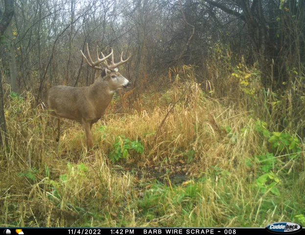 $799,000 | N2232 Peters Road, Sharon, WI 53585