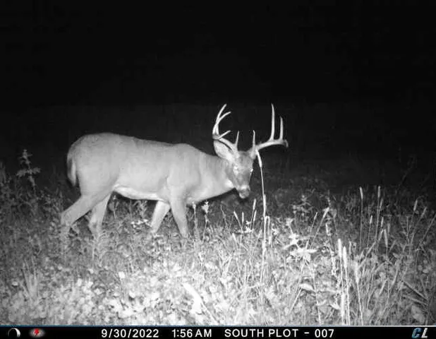 $799,000 | N2232 Peters Road, Sharon, WI 53585