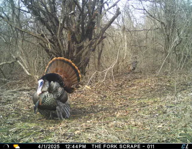 $799,000 | N2232 Peters Road, Sharon, WI 53585