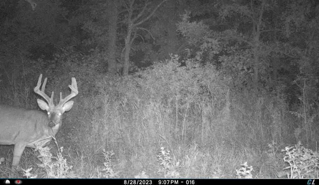 $799,000 | N2232 Peters Road, Sharon, WI 53585