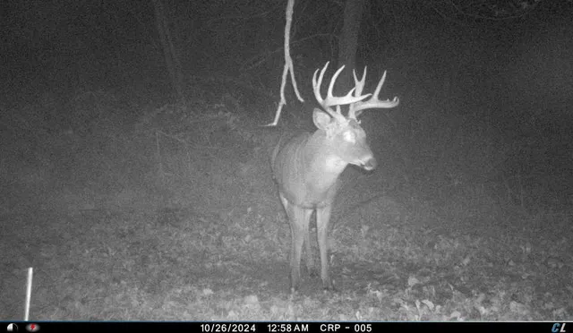 $799,000 | N2232 Peters Road, Sharon, WI 53585