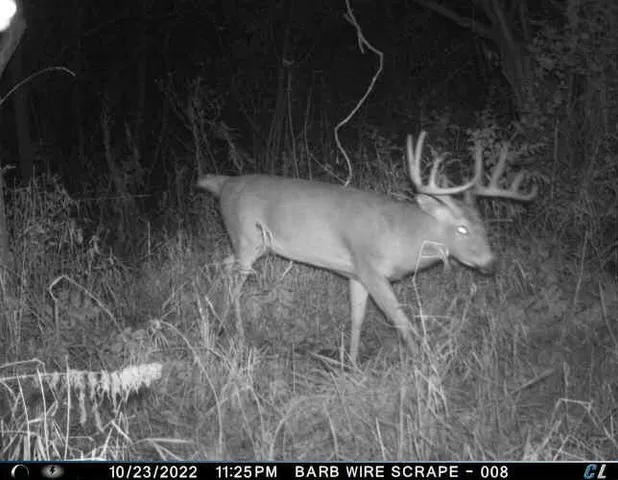 $799,000 | N2232 Peters Road, Sharon, WI 53585