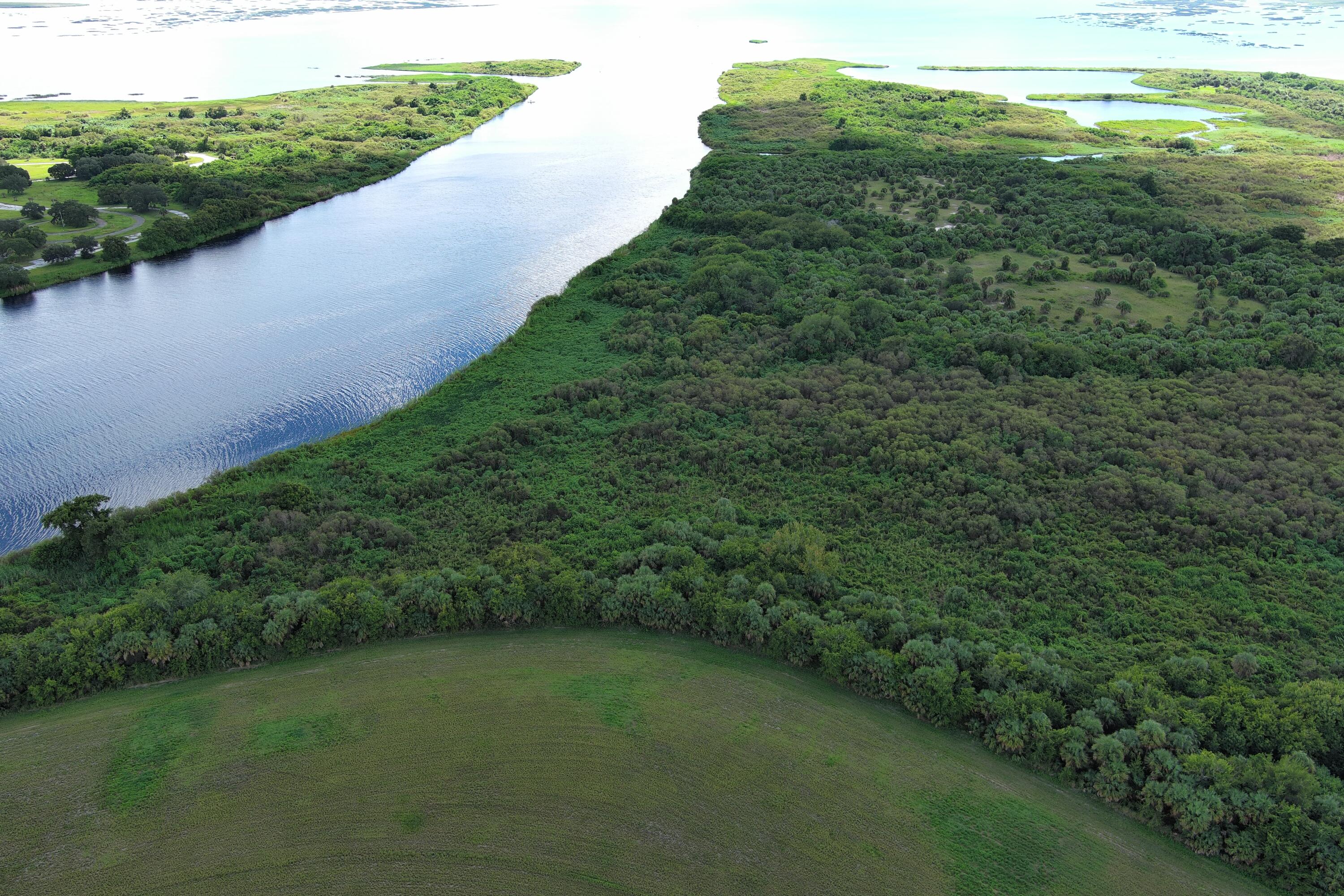 0 Perch Street Okeechobee, FL 34974 - Photo 11 of 25 a view of a big yard with plants and a bench