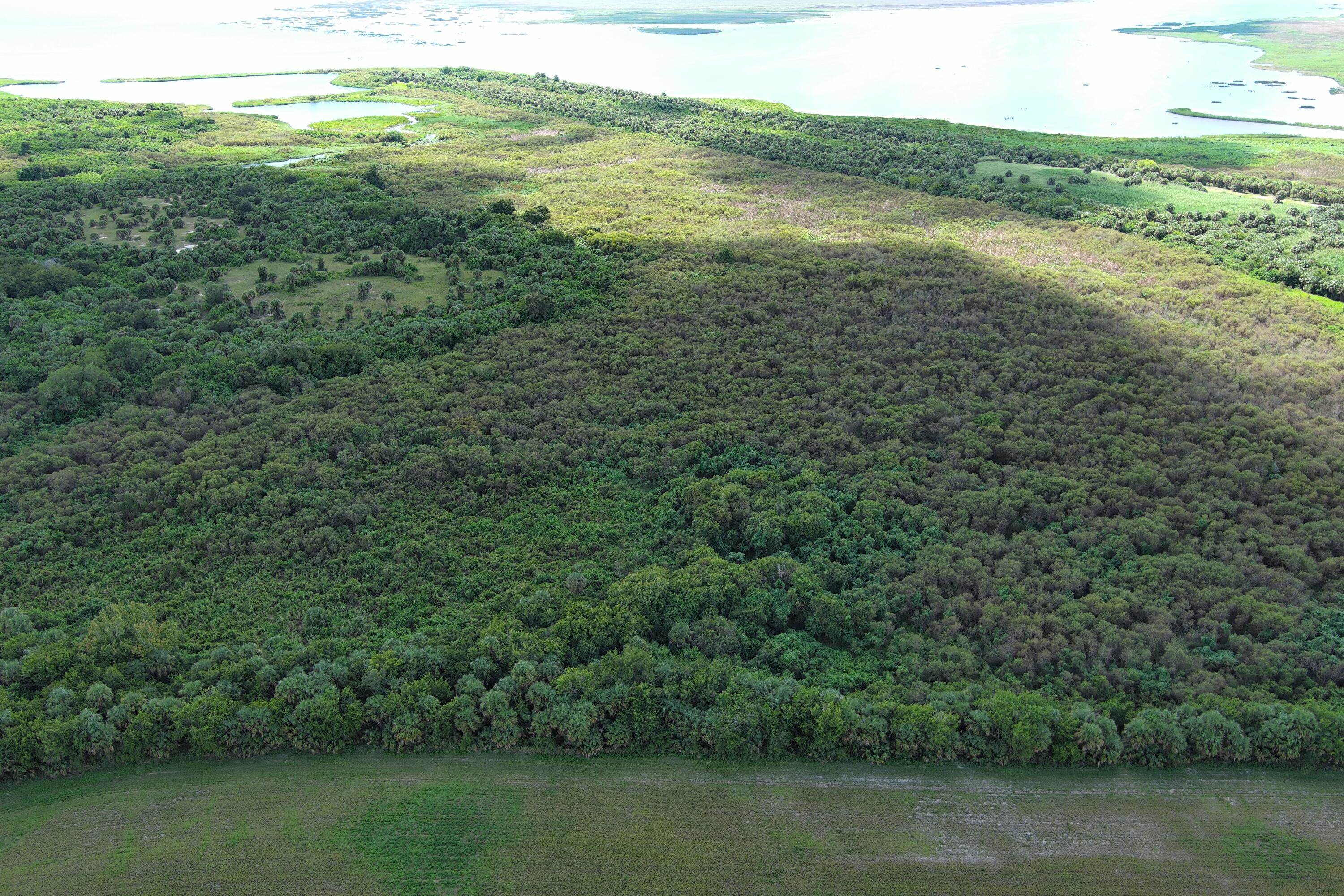 0 Perch Street Okeechobee, FL 34974 - Photo 12 of 25 a view of a lake with a mountain