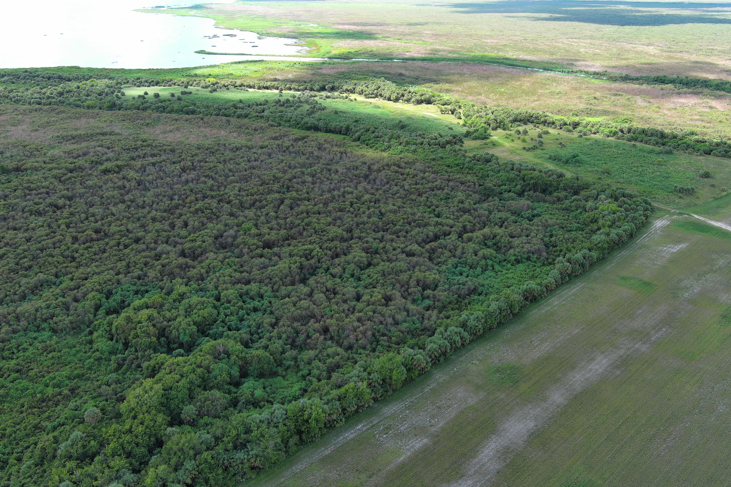 0 Perch Street Okeechobee, FL 34974 - Photo 10 of 25 a view of an ocean and beach