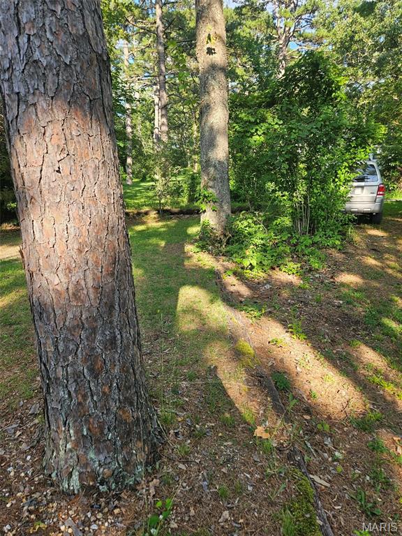 10209 Thunder Road Richwoods, MO 63071 - Photo 16 of 16