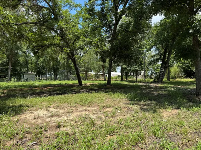 a view of park with trees