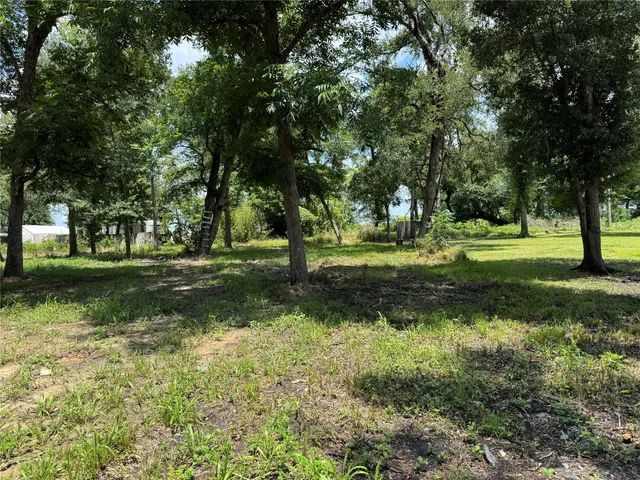 a view of a park with trees and grass