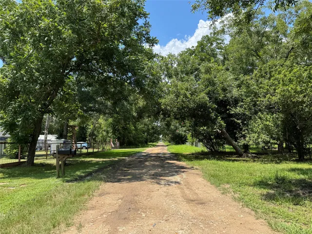 a view of a park with large trees
