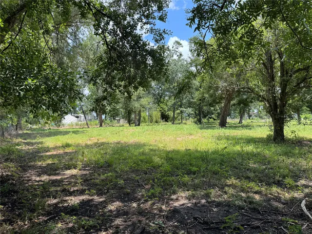 a view of outdoor space with garden and trees