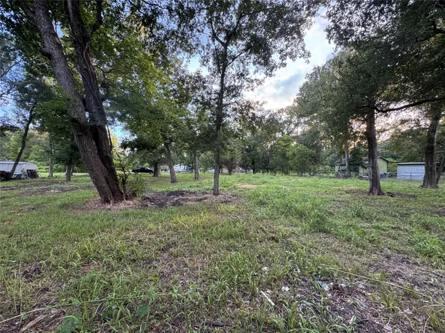 a view of outdoor space with trees all around