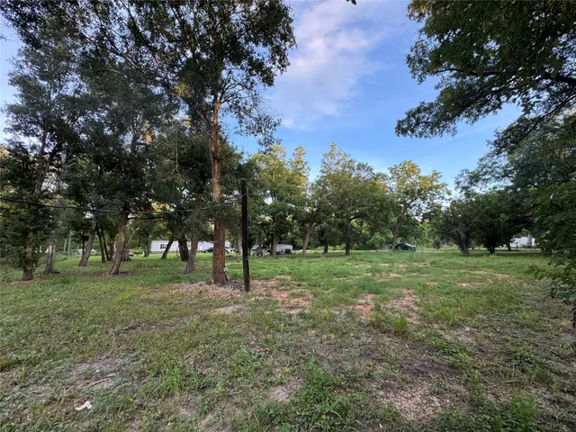 a view of a trees with a park