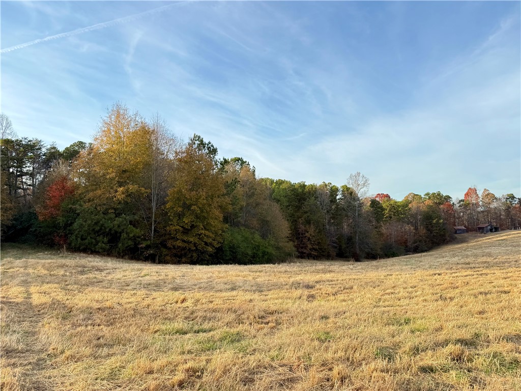 140 A Pickens Road Westminster, SC 29693 - Photo 1 of 1 Expansive meadow with distant treeline under a bright sky.