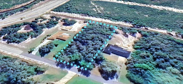 a picture of flowers