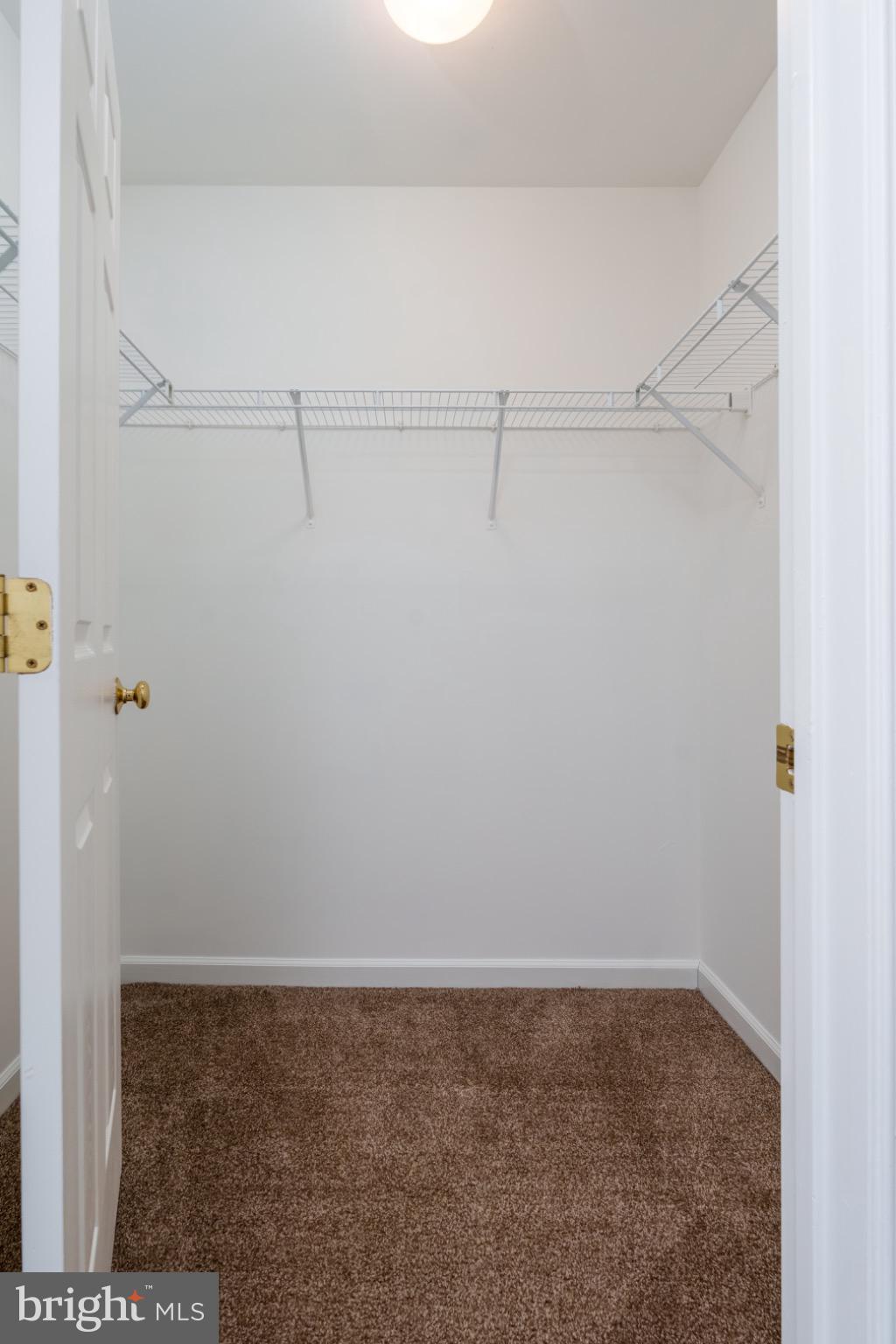 167 Springfield Circle Middletown, DE 19709 - Photo 23 of 33