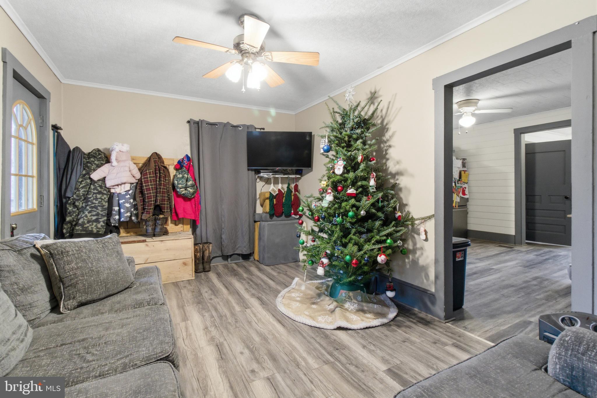 472 Bridgeport Road Curwensville, PA 16833 - Photo 5 of 19 Living