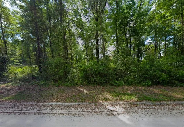 a view of a yard with a trees