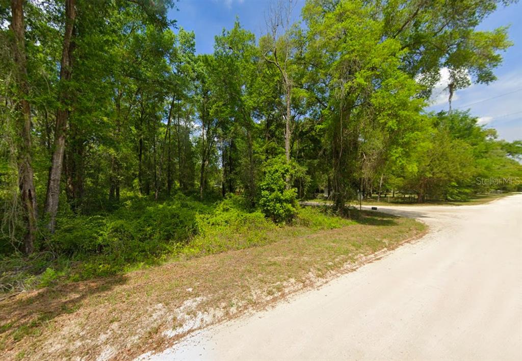 247 Southwest Merciful Place Fort White, FL 32038 - Photo 3 of 6 a view of a yard with an trees