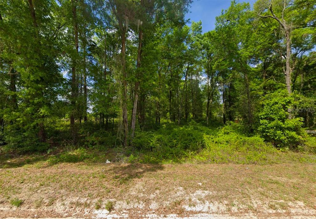 247 Southwest Merciful Place Fort White, FL 32038 - Photo 5 of 6 a view of a yard with plants and large trees