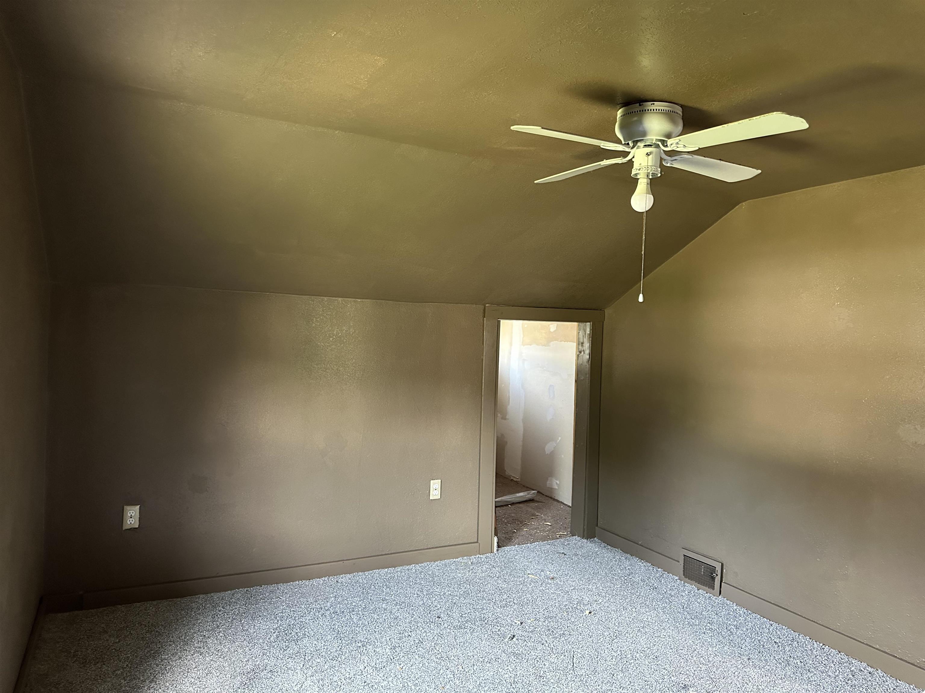1407 Hawthorne Avenue Savanna, IL 61074 - Photo 18 of 20 an empty room with a fan & a ceiling fan