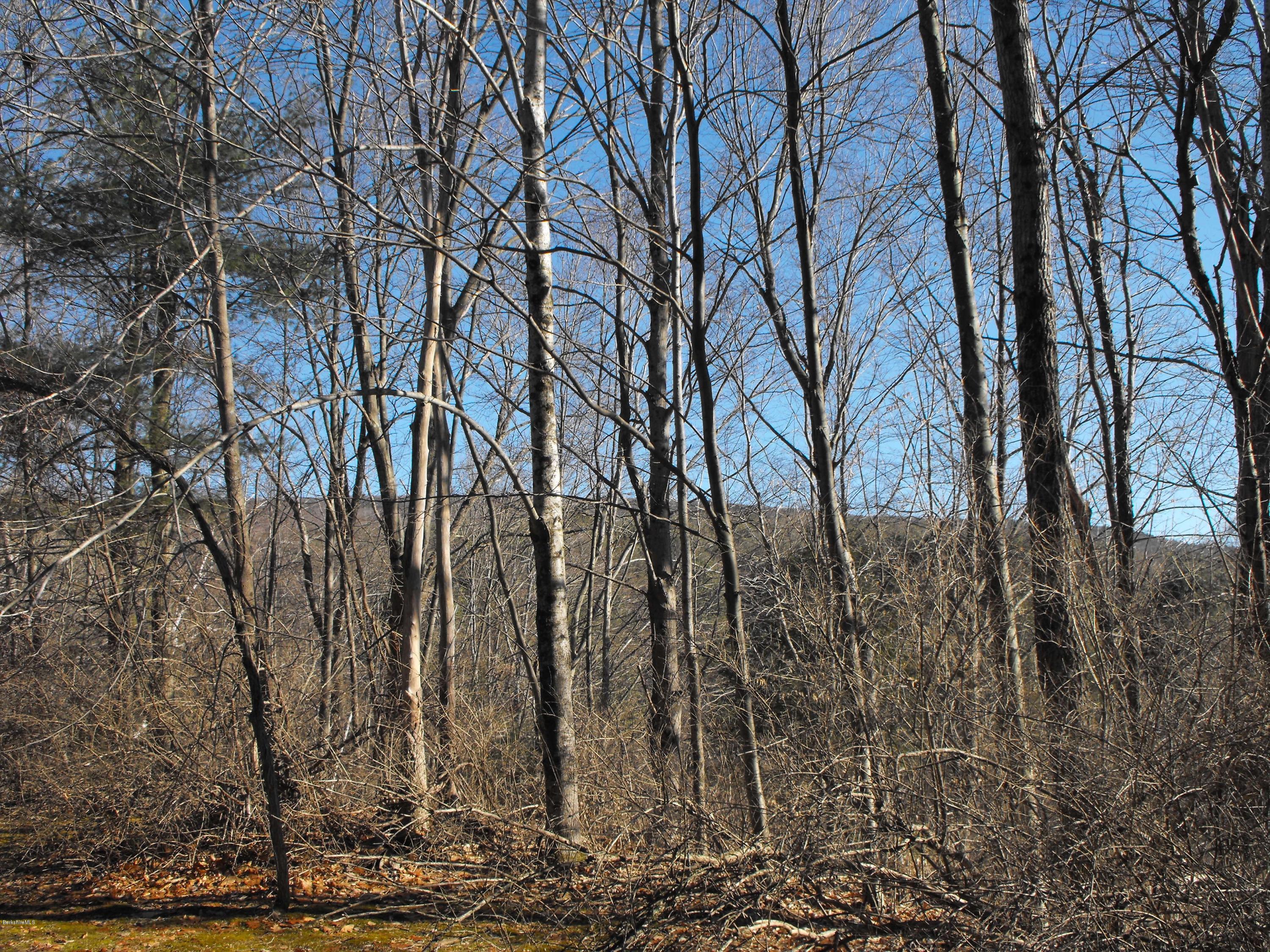 1 Iron Ore Road West Stockbridge, MA 01266 - Photo 19 of 24 Distant Mt View