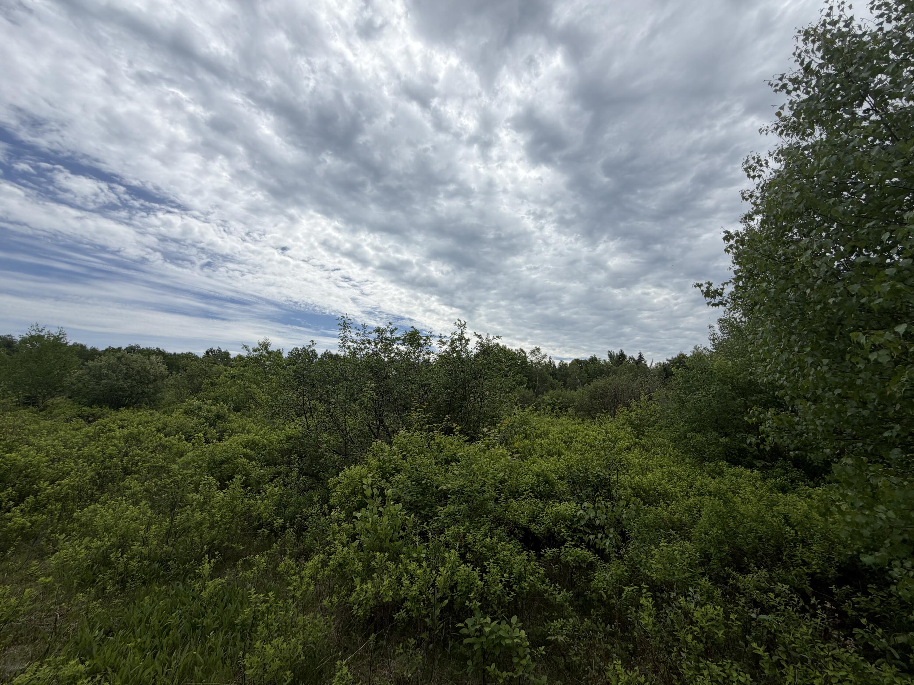 M7-l6a Osgood Road Carroll Plt, ME 04487 - Photo 4 of 6