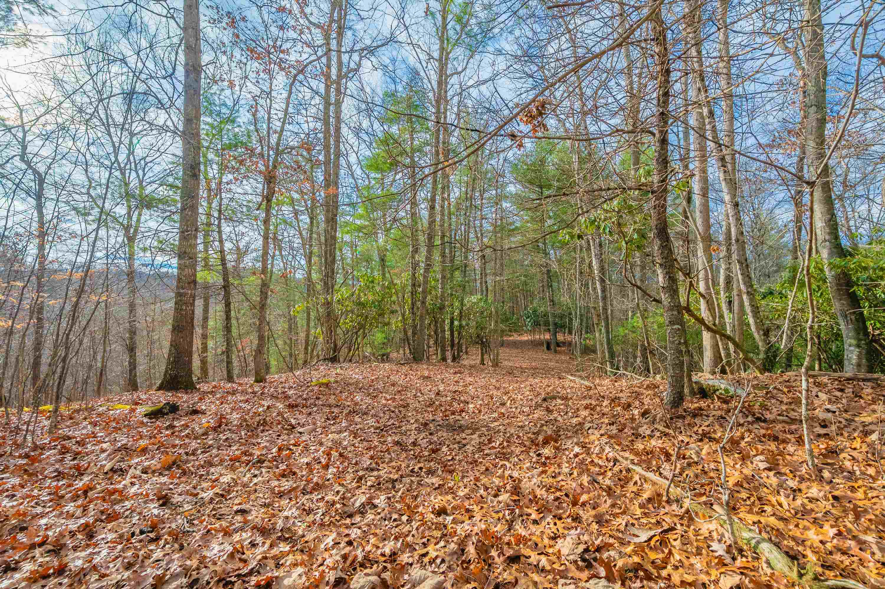 Tbd Spangler Mill Road Northeast Floyd, VA 24091 - Photo 1 of 44 Gallery Image 1