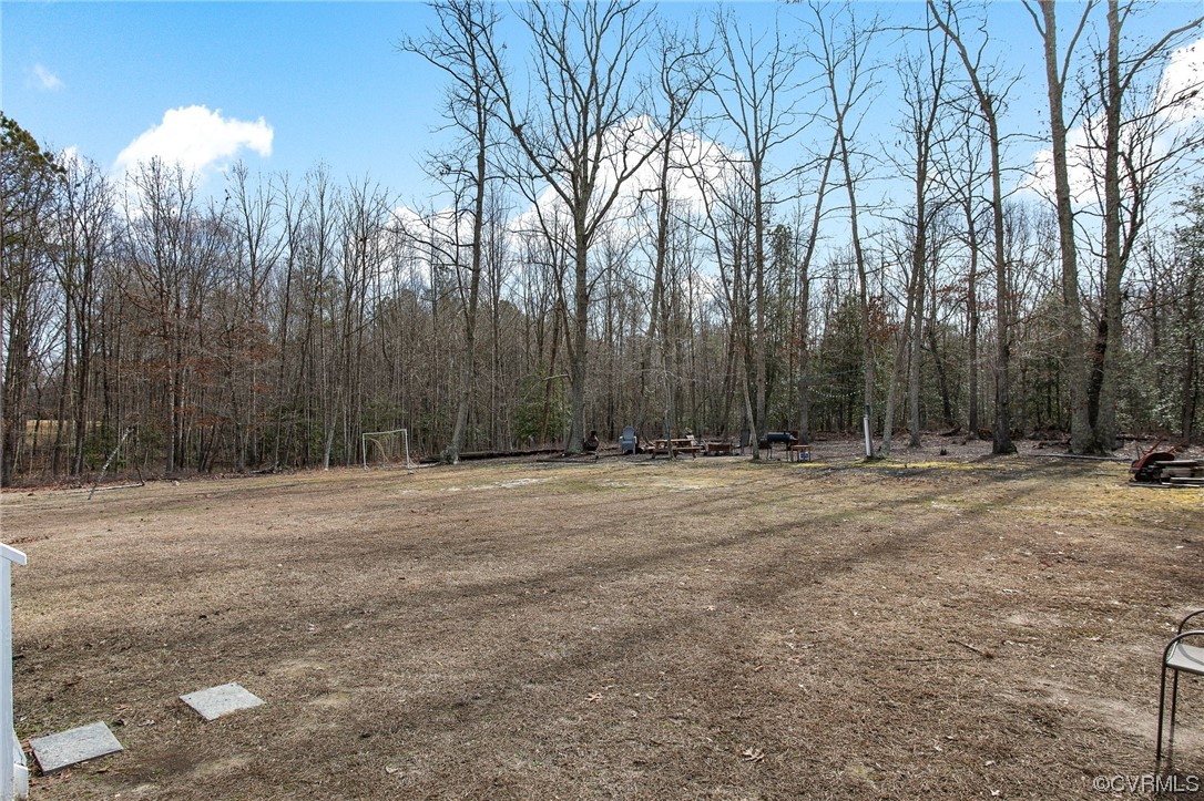 10111 Cattail Road Chesterfield, VA 23838 - Photo 28 of 31 a view of outdoor space with trees