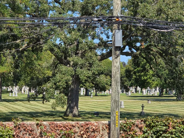 a street sign on a road next to a yard