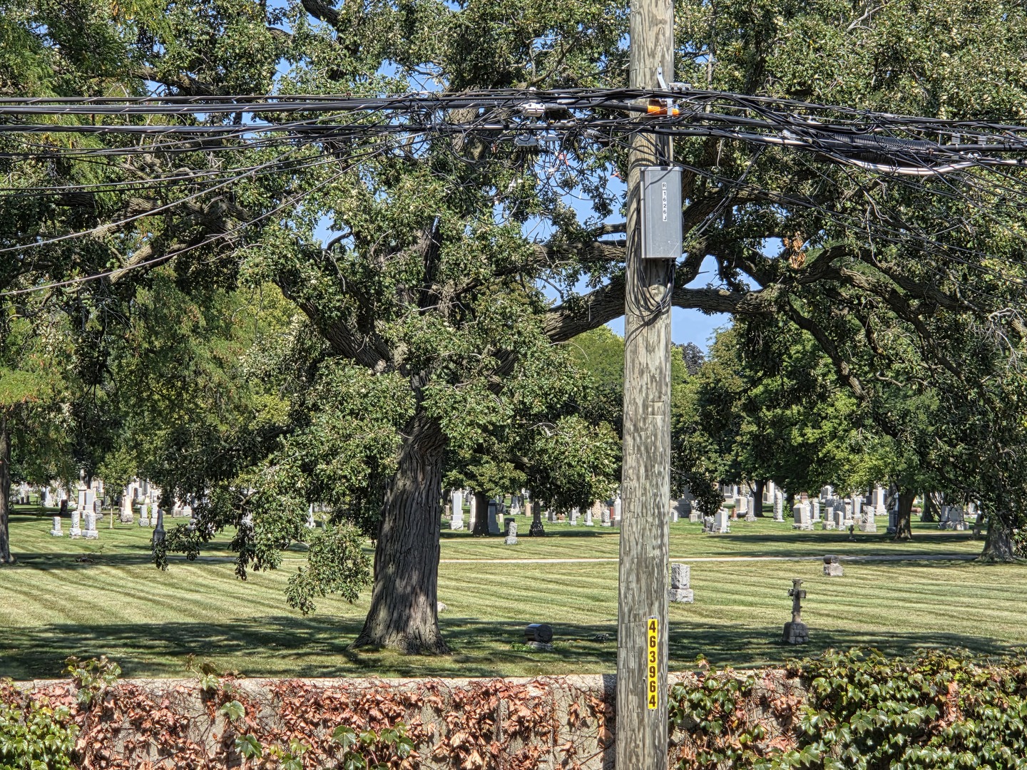 1628 West Juneway Terrace, Unit 1 Chicago, IL 60626 - Photo 37 of 49 a street sign on a road next to a yard