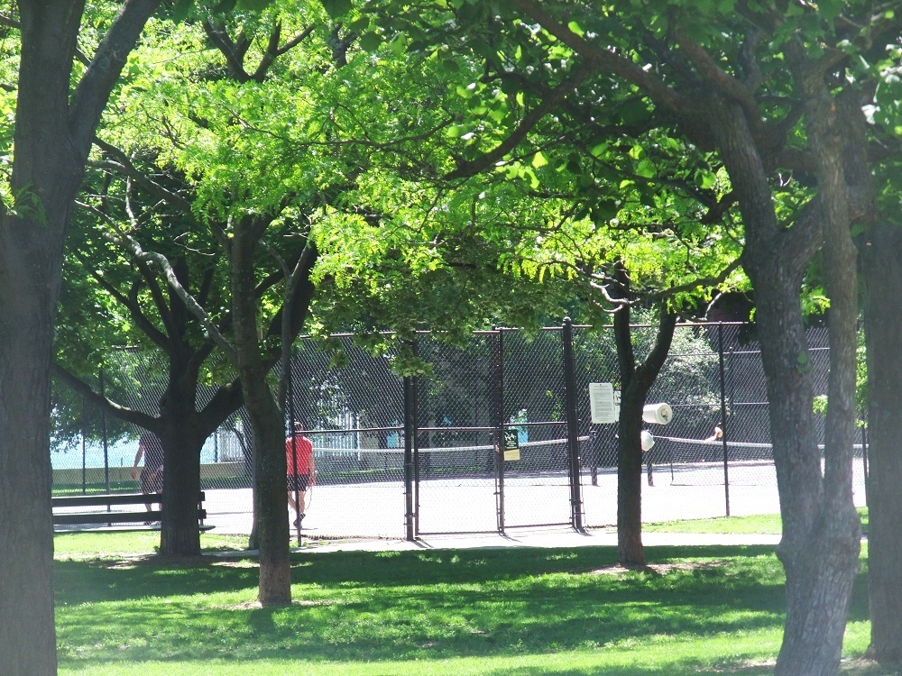 1628 West Juneway Terrace, Unit 1 Chicago, IL 60626 - Photo 42 of 49 a house view with a garden and trees