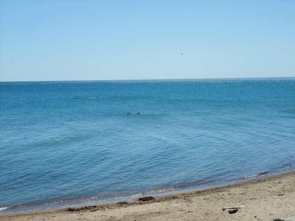 1628 West Juneway Terrace, Unit 1 Chicago, IL 60626 - Photo 43 of 49