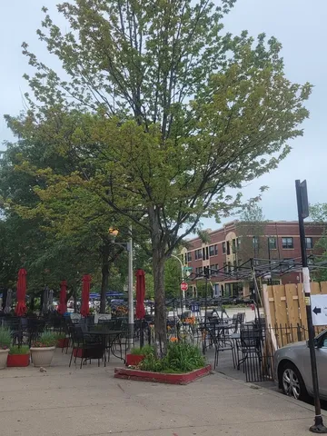 a view of a building with a potted plant