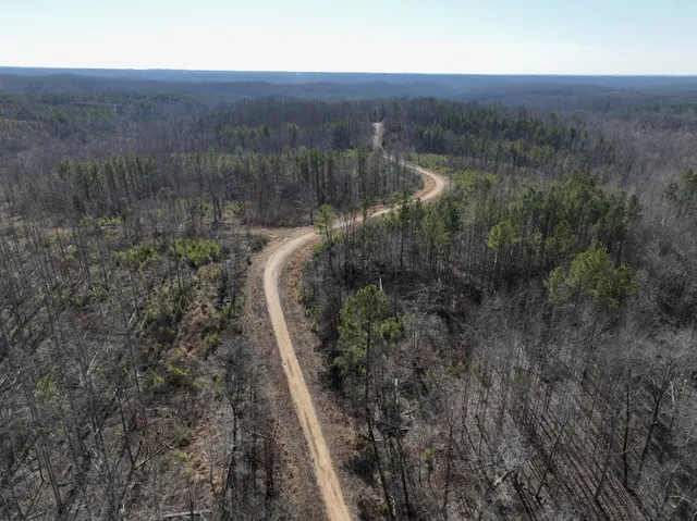 a view of a dry yard with trees and bushes