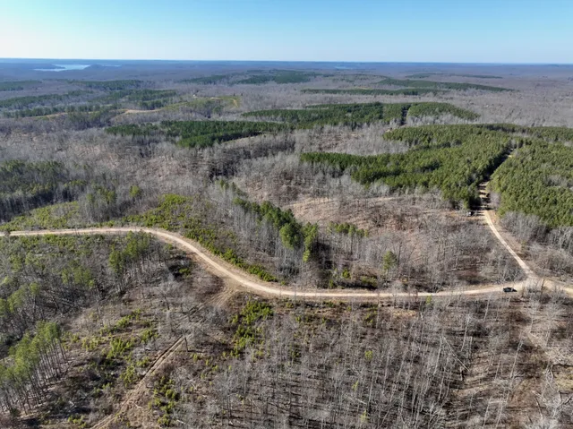 a view of a yard with plants and trees