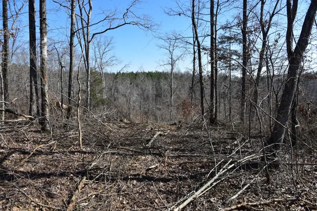 a view of pathway with a yard
