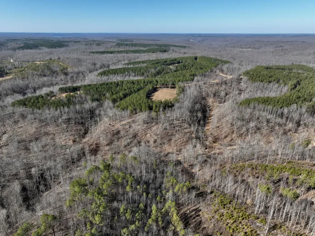 an aerial view of a town with trees