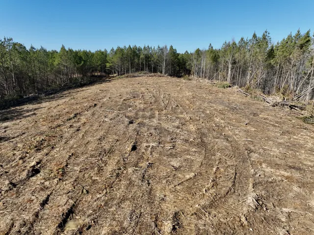 a view of a field with trees in the background