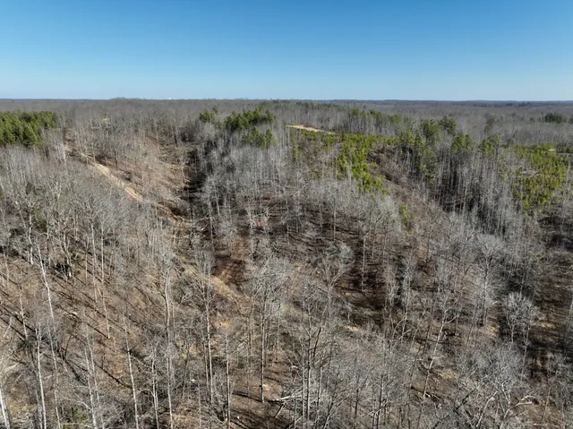 a big yard with lots of green space