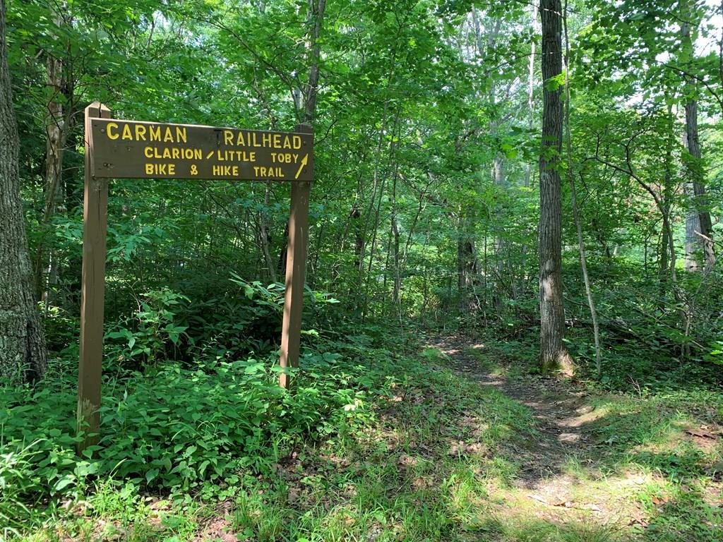 31480 Portland Mills Road Ridgway, PA 15853 - Photo 8 of 24