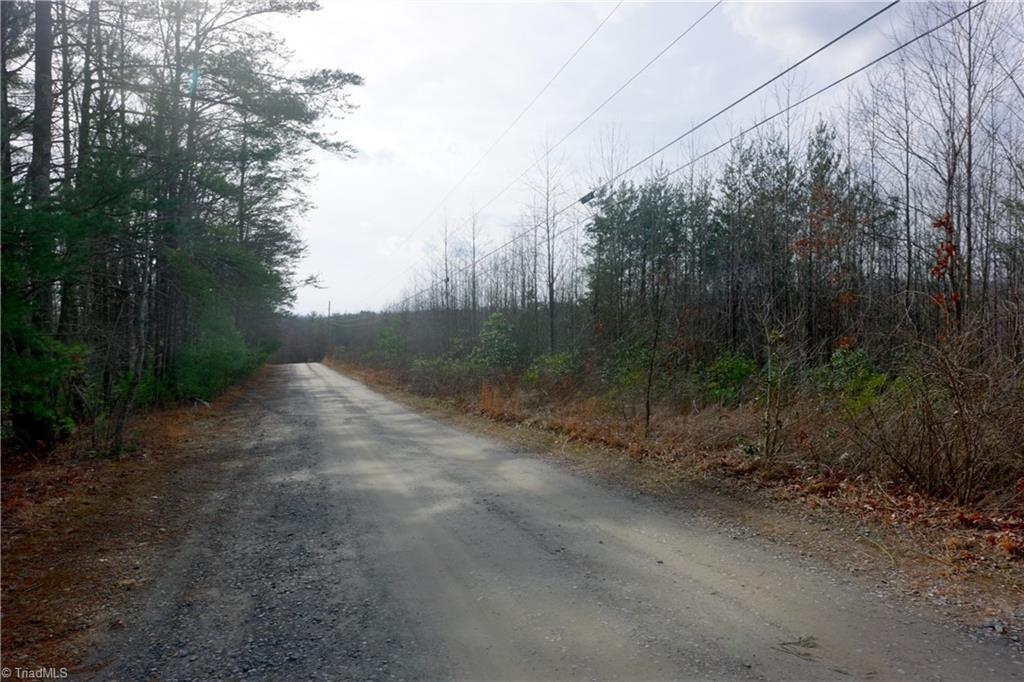 0 Lisa Lane Mount Airy, NC 27030 - Photo 12 of 42