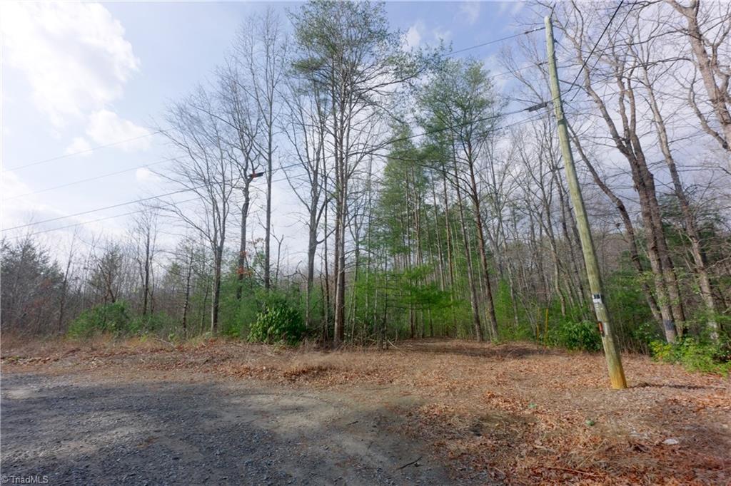 0 Lisa Lane Mount Airy, NC 27030 - Photo 13 of 42