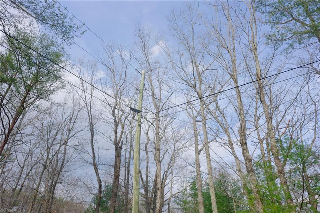 0 Lisa Lane Mount Airy, NC 27030 - Photo 14 of 42