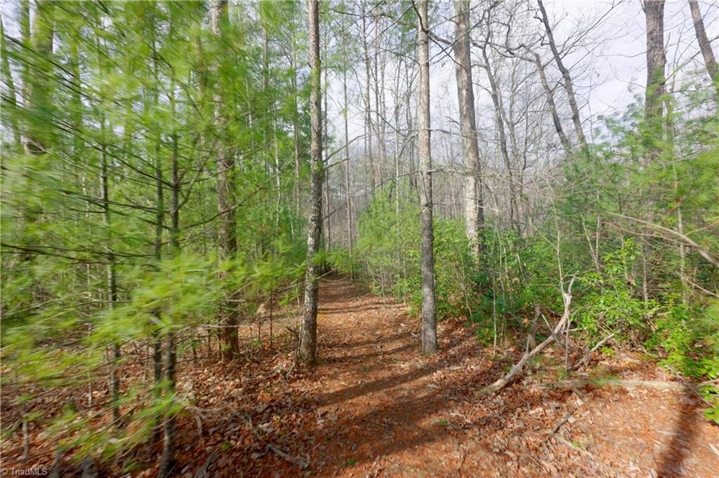 0 Lisa Lane Mount Airy, NC 27030 - Photo 16 of 42