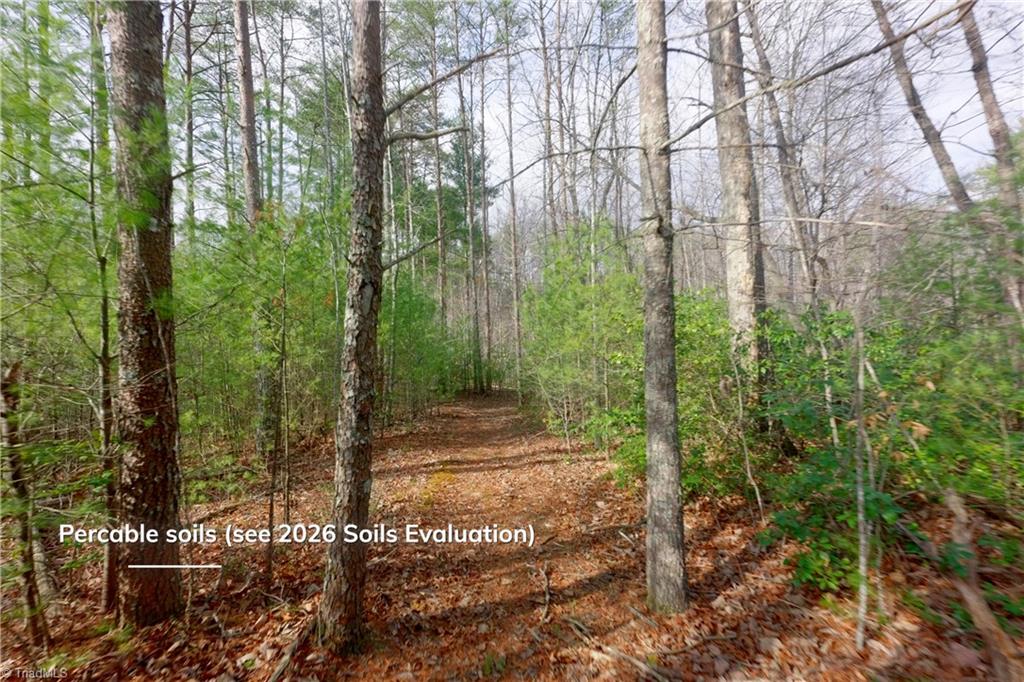 0 Lisa Lane Mount Airy, NC 27030 - Photo 17 of 42